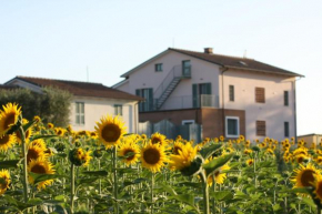 La Collina del Girasole